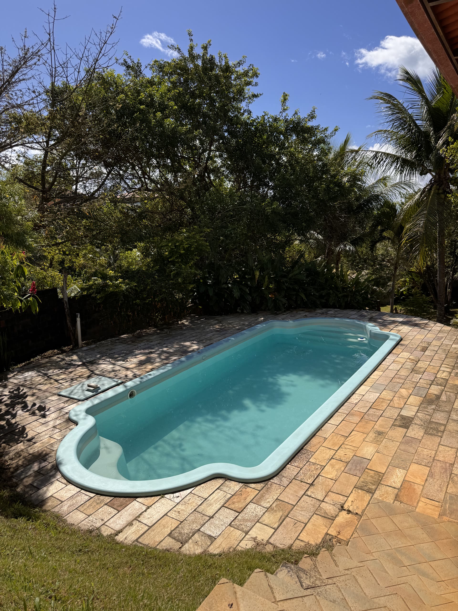 Piscina em meio ao jardim tropical