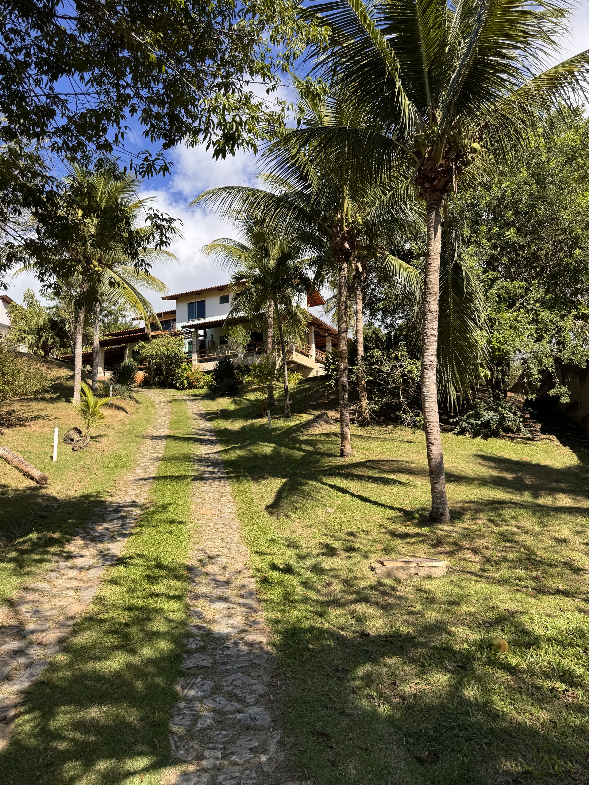 Casa cercada por coqueiros e jardim tropical